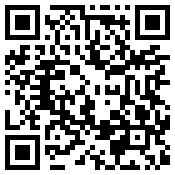 手机/微信访问网站